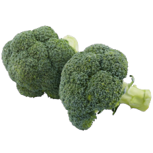 Broccoli